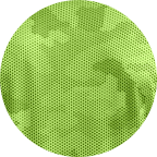 Lime Shock