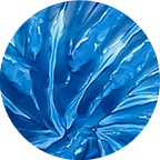 Blue Jerry