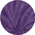 Spider Purple